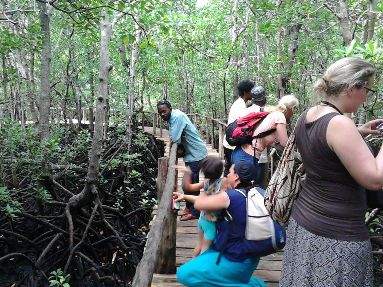 Zanzibar: Jozani Forest National Park and Dolphin Encounter